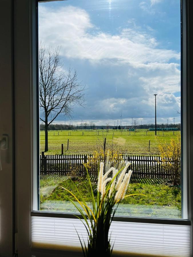 בוכהולץ אלר Helles Ferienhaus Storchenblick מראה חיצוני תמונה